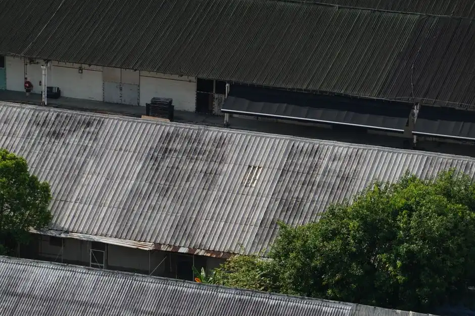 High angle view of urban warehouse roofs with corrugated metal and surrounding green trees.